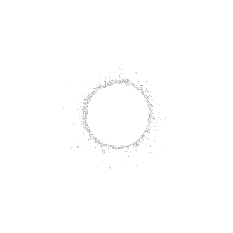 CHAMPION BEZBARWNY  -400ML